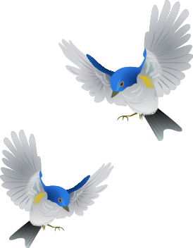 ２匹の鳥のイラスト